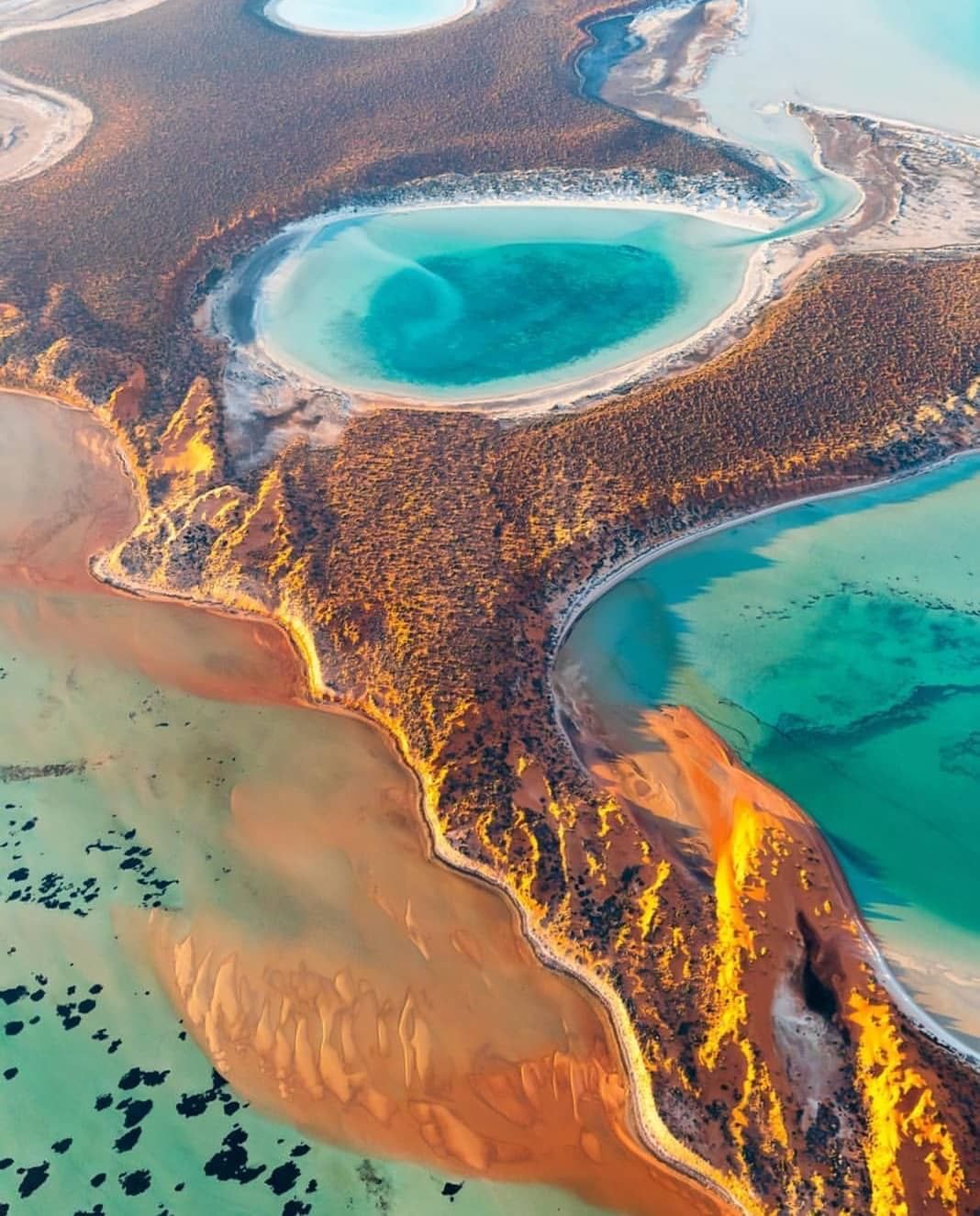 ourbusyhomeschool | Explore Francois Peron National Park: Discover the unique landscapes and wildlife of Francois Peron National Park