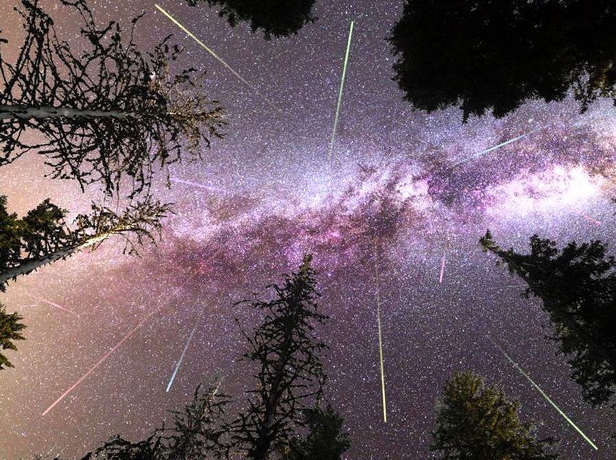 ourbusyhomeschool | Meteor Shower Viewing Events: Witness spectacular meteor showers at these viewing events