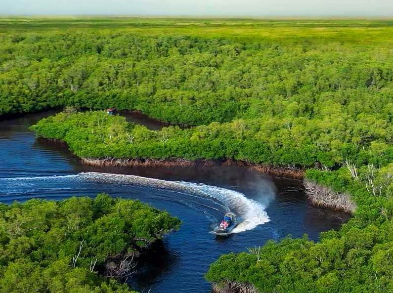 ourbusyhomeschool | Explore the Floodplains by Airboat: Adventure on Kakadu's Waters