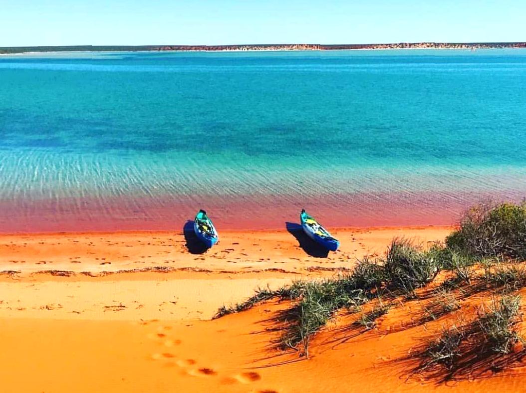 ourbusyhomeschool | Kayaking in Shark Bay: Experience the thrill of kayaking in the pristine waters of Shark Bay