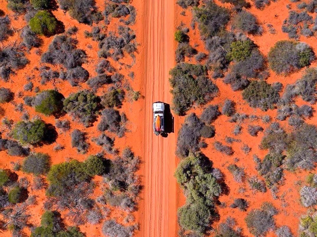 ourbusyhomeschool | Explore Francois Peron National Park: Discover the unique landscapes and wildlife of Francois Peron National Park