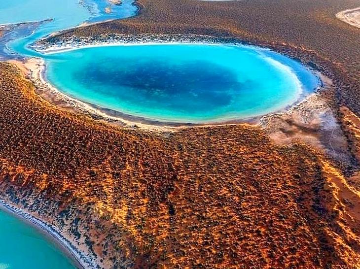 ourbusyhomeschool | Visit the Shark Bay World Heritage Discovery Centre: Learn about the natural and cultural history of Shark Bay