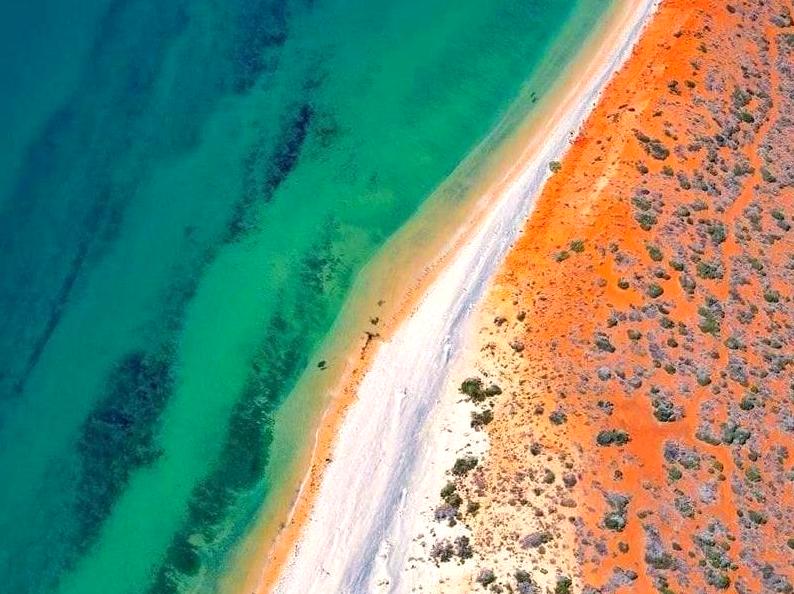 ourbusyhomeschool | Visit the Shark Bay World Heritage Discovery Centre: Learn about the natural and cultural history of Shark Bay