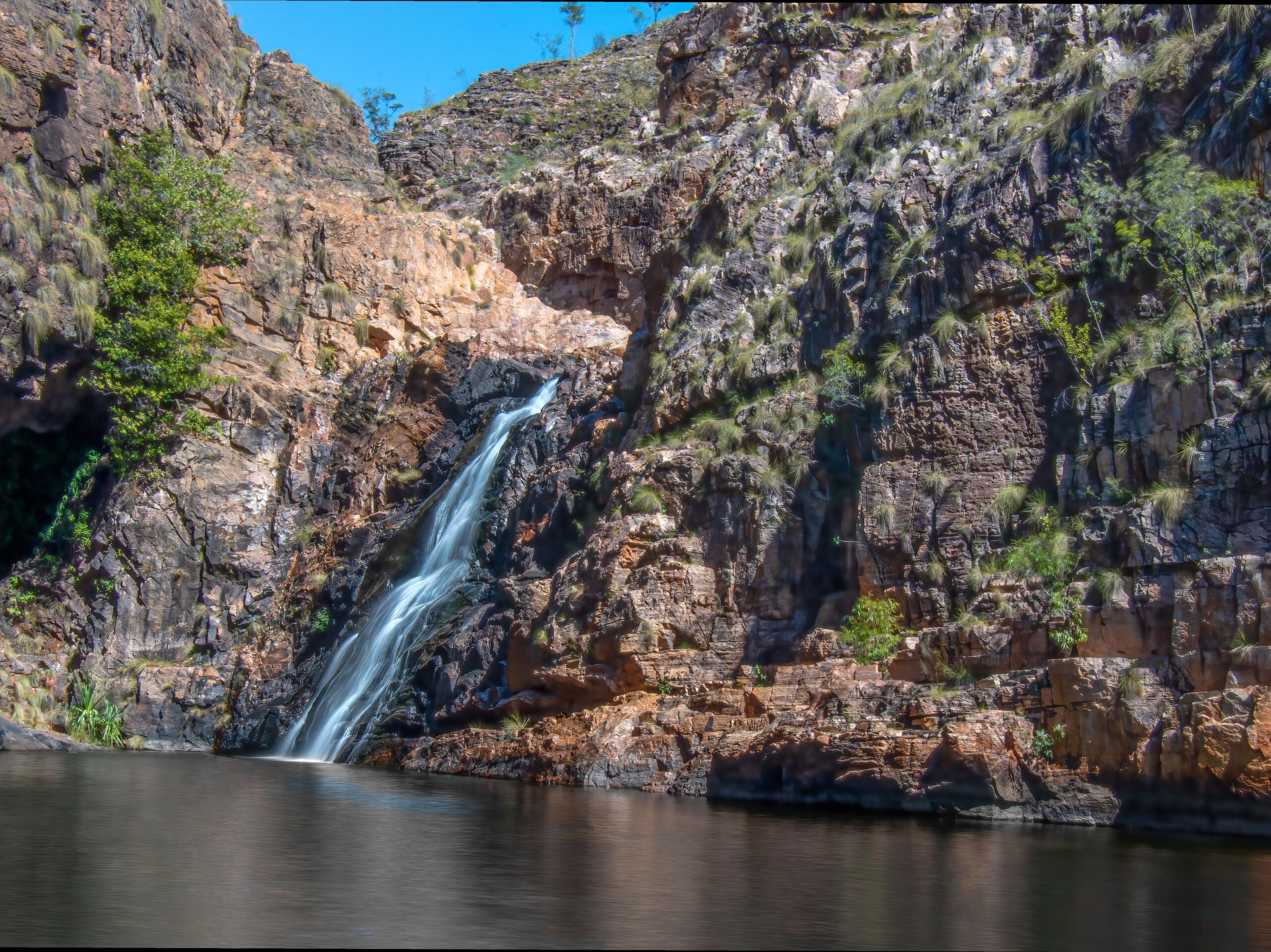 ourbusyhomeschool | Guided Walk through Monsoon Forests: Eco-tourism in Kakadu