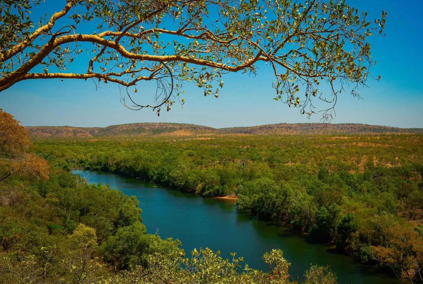 ourbusyhomeschool | Katherine Gorge Plants & Wildlife