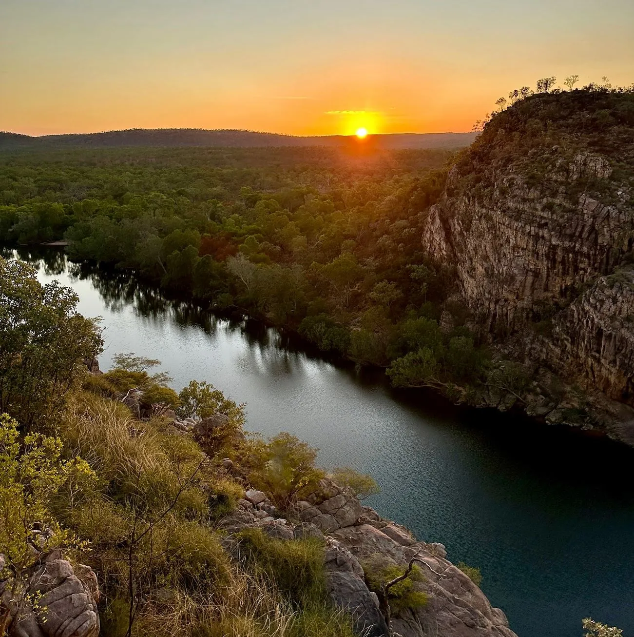 ourbusyhomeschool | Katherine Gorge Plants & Wildlife