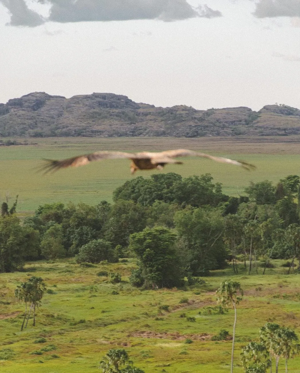 ourbusyhomeschool | What Makes Kakadu’s Nature So Special?