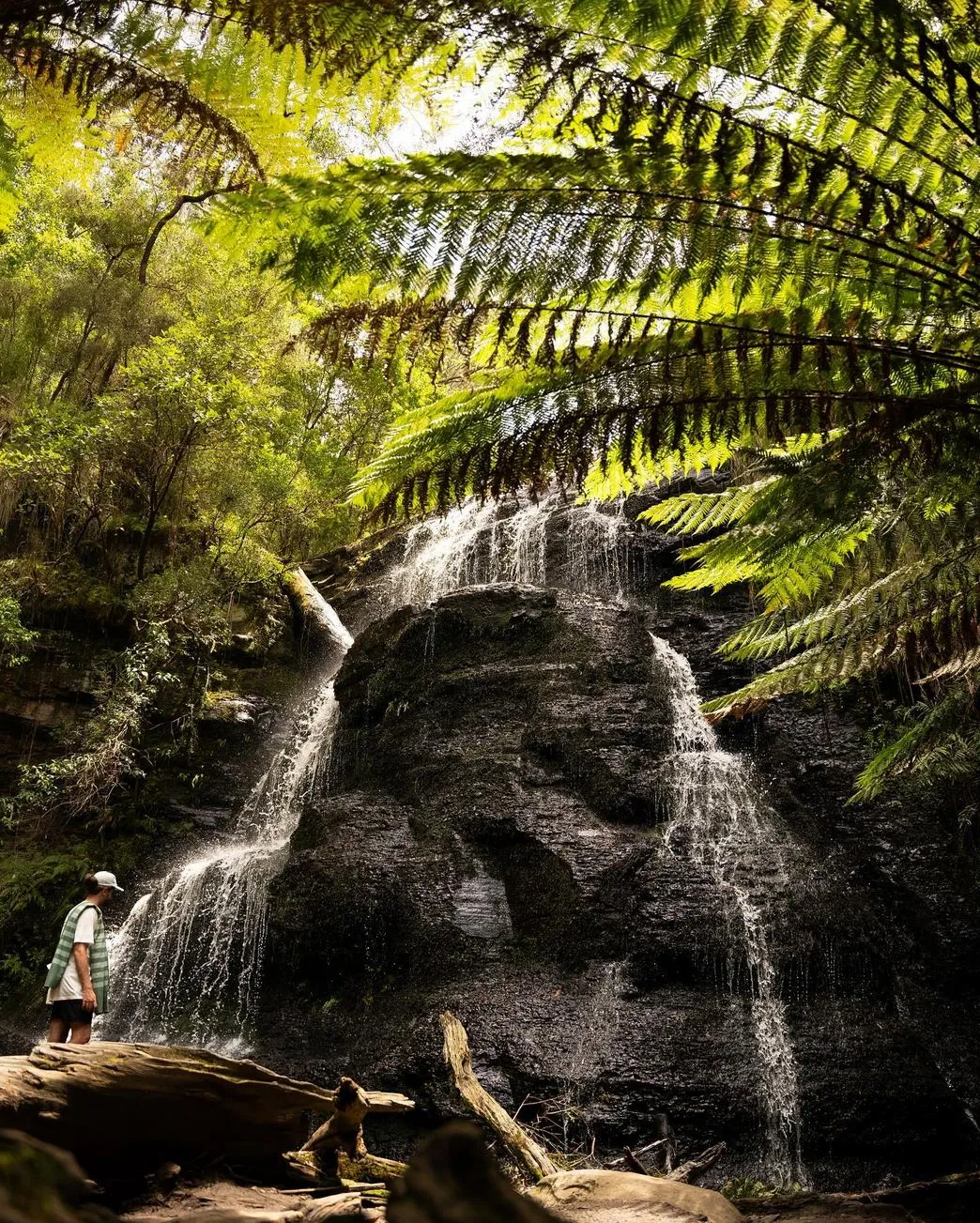 ourbusyhomeschool | What Should You Not Miss on the Great Ocean Road?