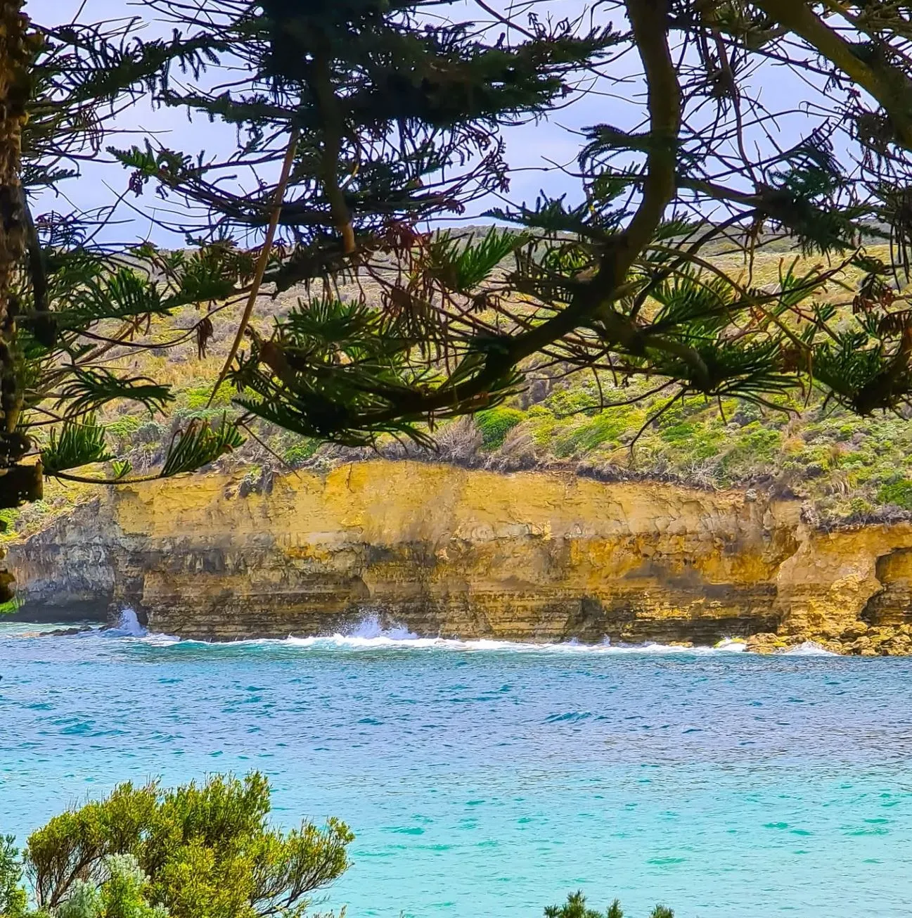 ourbusyhomeschool | What Should You Not Miss on the Great Ocean Road?
